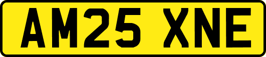 AM25XNE