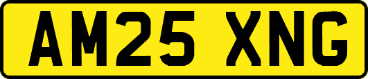 AM25XNG