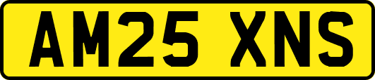 AM25XNS