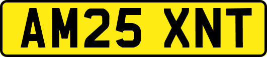 AM25XNT