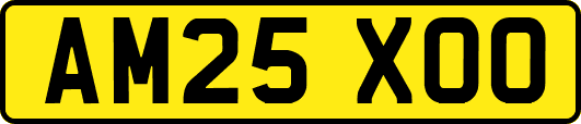 AM25XOO