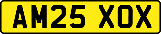 AM25XOX