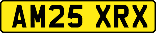 AM25XRX