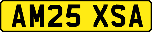 AM25XSA