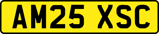 AM25XSC