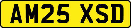 AM25XSD