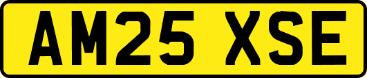 AM25XSE