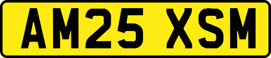 AM25XSM