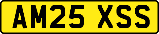 AM25XSS