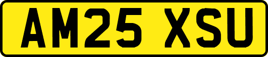 AM25XSU