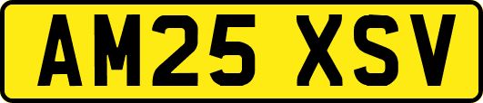 AM25XSV
