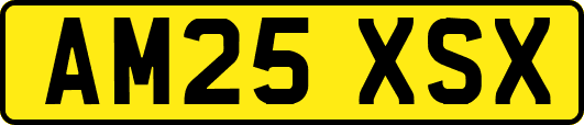 AM25XSX