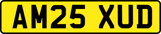 AM25XUD