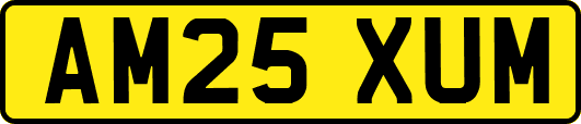 AM25XUM