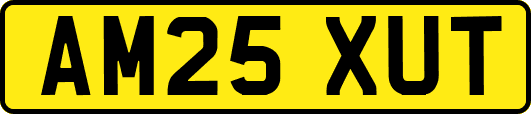 AM25XUT