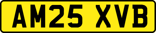 AM25XVB