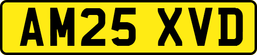 AM25XVD