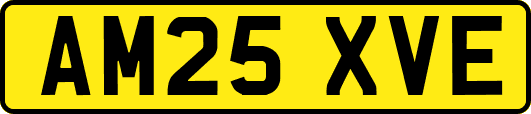 AM25XVE