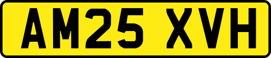 AM25XVH