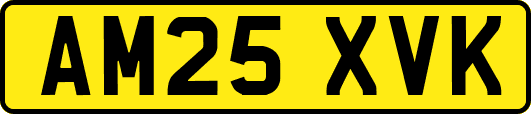 AM25XVK