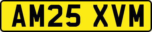 AM25XVM