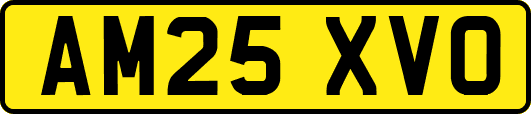 AM25XVO