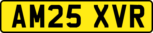 AM25XVR
