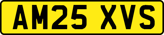 AM25XVS