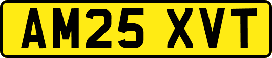 AM25XVT