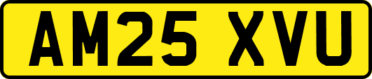 AM25XVU