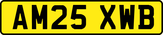 AM25XWB