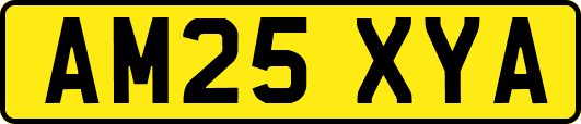 AM25XYA