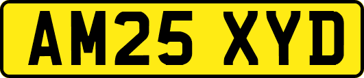 AM25XYD