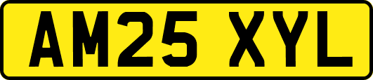 AM25XYL