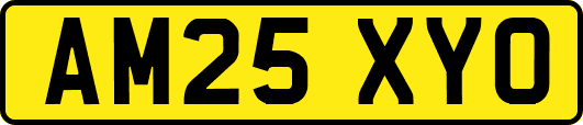 AM25XYO