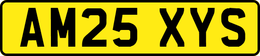 AM25XYS