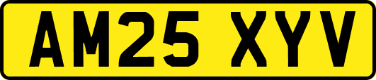 AM25XYV