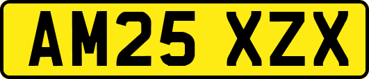 AM25XZX