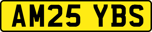 AM25YBS