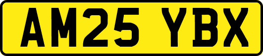 AM25YBX
