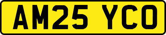 AM25YCO