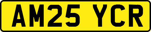 AM25YCR