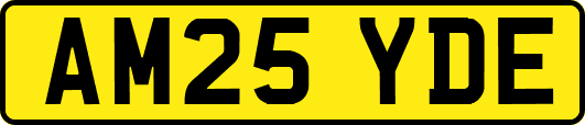 AM25YDE