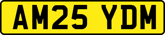 AM25YDM