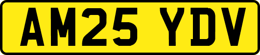 AM25YDV