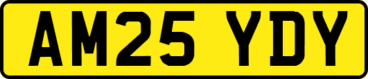 AM25YDY