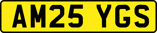 AM25YGS