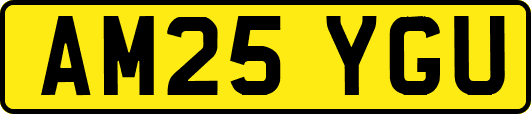 AM25YGU