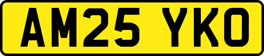 AM25YKO