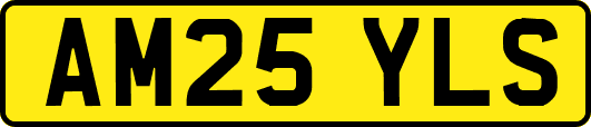 AM25YLS